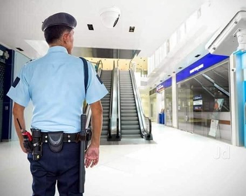 Shopping Mall Security